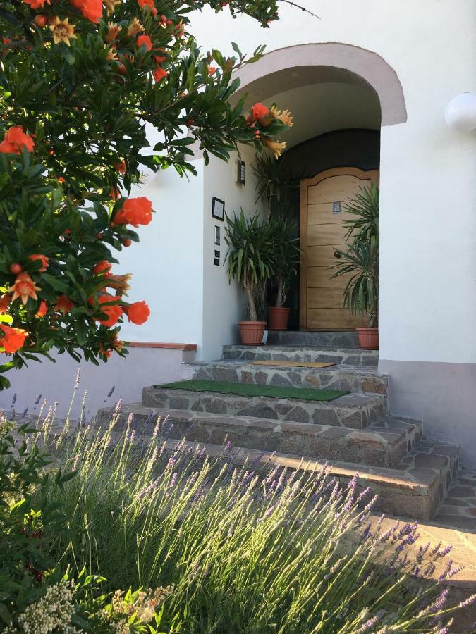 Casa Al Riccio Apartment Capolona Exterior photo